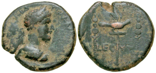 Denomination E. 13-17.7mm, 1.34-2.95g
Obv.: raven standing right, LEG above, XV in
exergue, below ground line.
Rev.: boar standing right, AP above.
Specimens: 16 known.
RPC IV.3, 10431 (temporary)