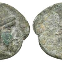 913 Bucephalus 4 Lot 169.jpg