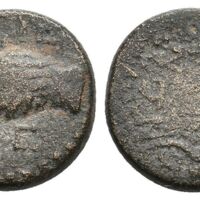 543 Bucephalus Black 4 Lot 171.jpg