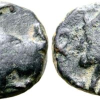 529 Roma e79 Lot 184.jpg